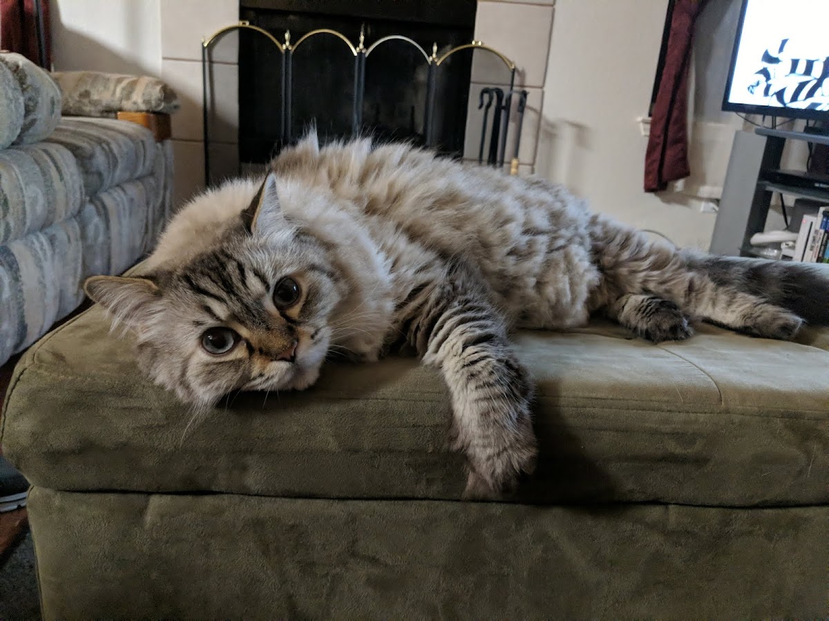 Fall Creek Loop Cafe